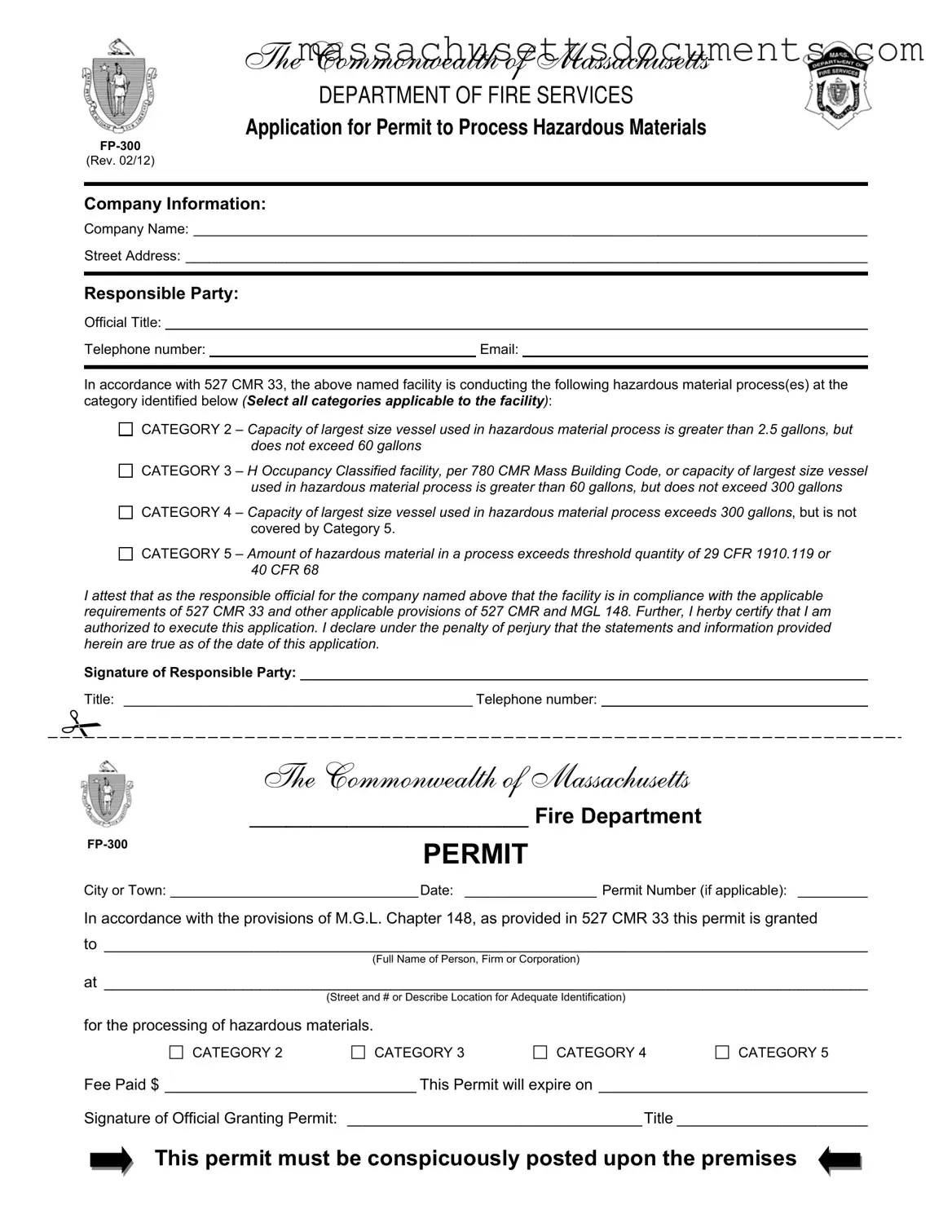Blank Fp 300 Massachusetts Form